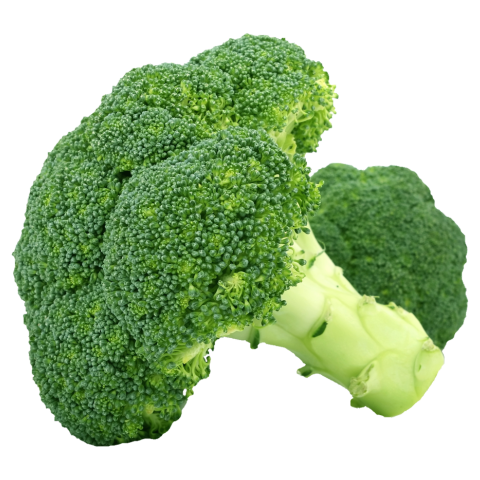 Broccoli