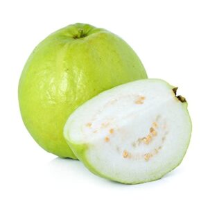 BIG GUAVA