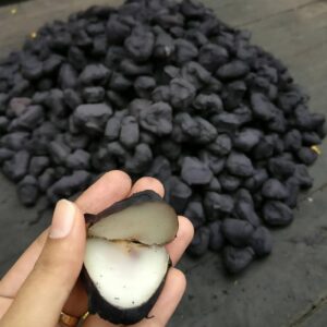 SINGODA