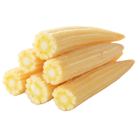 Baby Corn