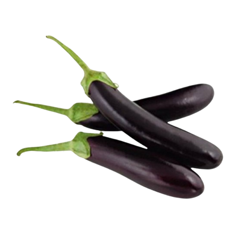 BRINJAL LONG