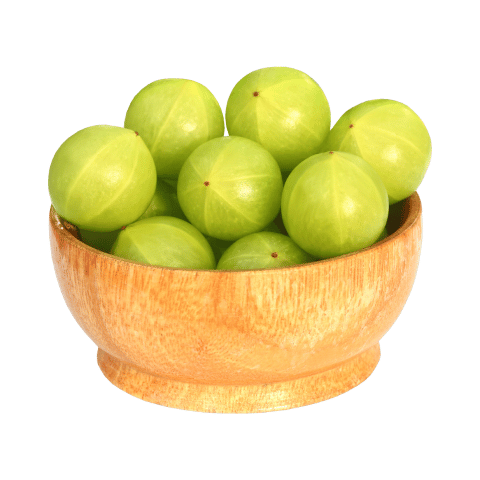 INDIAN GOOSEBERRY