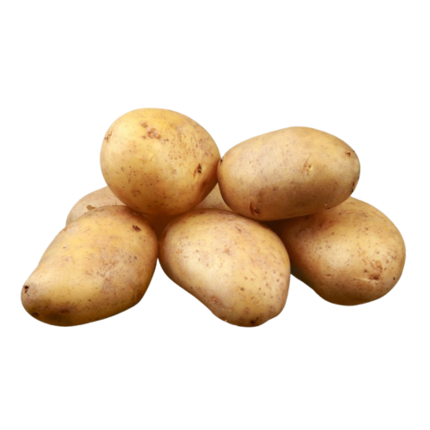 POTATO